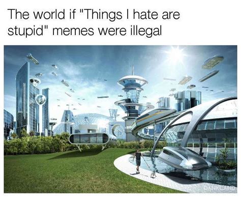 society if meme